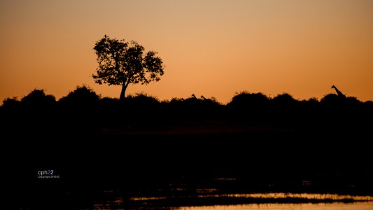 Atardecer Botswana II